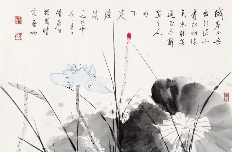 启功画荷花，清丽隽永，简洁素雅 名人名家 第11张