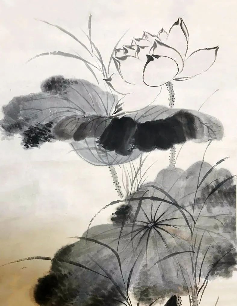 启功画荷花，清丽隽永，简洁素雅 名人名家 第12张
