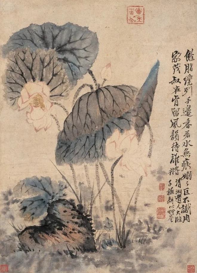 鉴赏 石涛画荷，尽显精神 名人名家 第7张