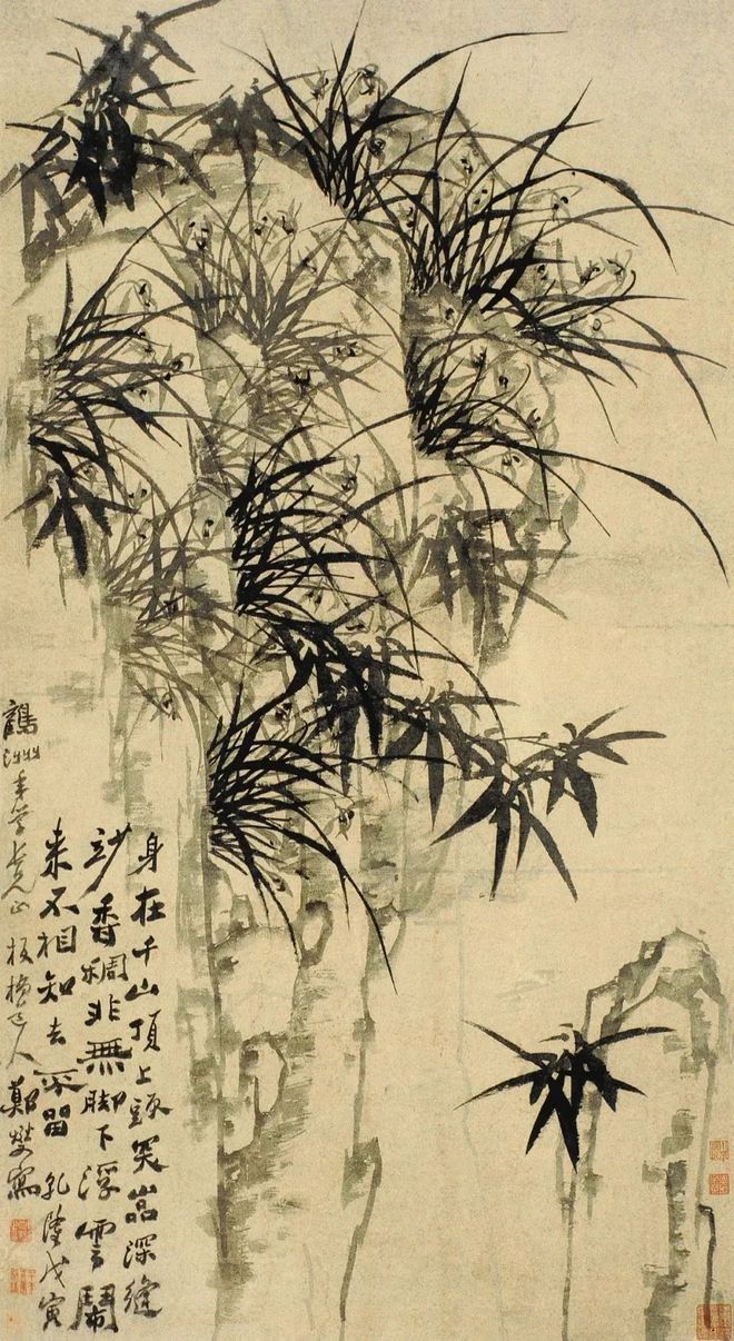 郑板桥画兰，画的是兰花之骨 名人名家 第1张