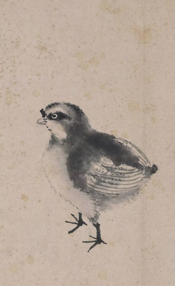 沈周卧游：性情所在、不亦乐乎！ 名人名家 第27张