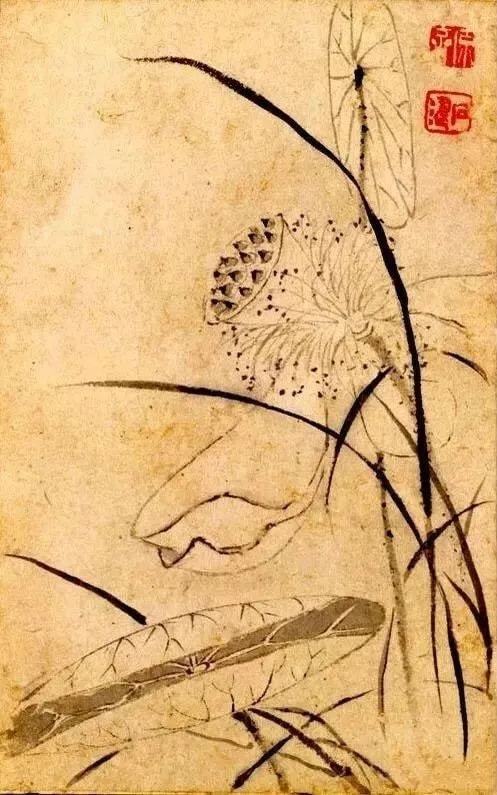 鉴赏 石涛画荷，尽显精神 名人名家 第6张