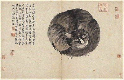 沈周文徵明徐悲鸿，他们都爱“吸猫” 未分类 第1张