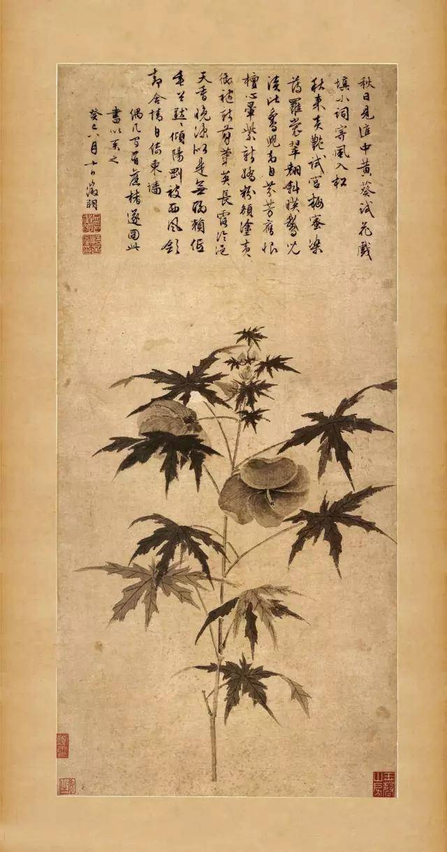 文徵明的“秋葵”，诗书画三绝 名人名家 第1张