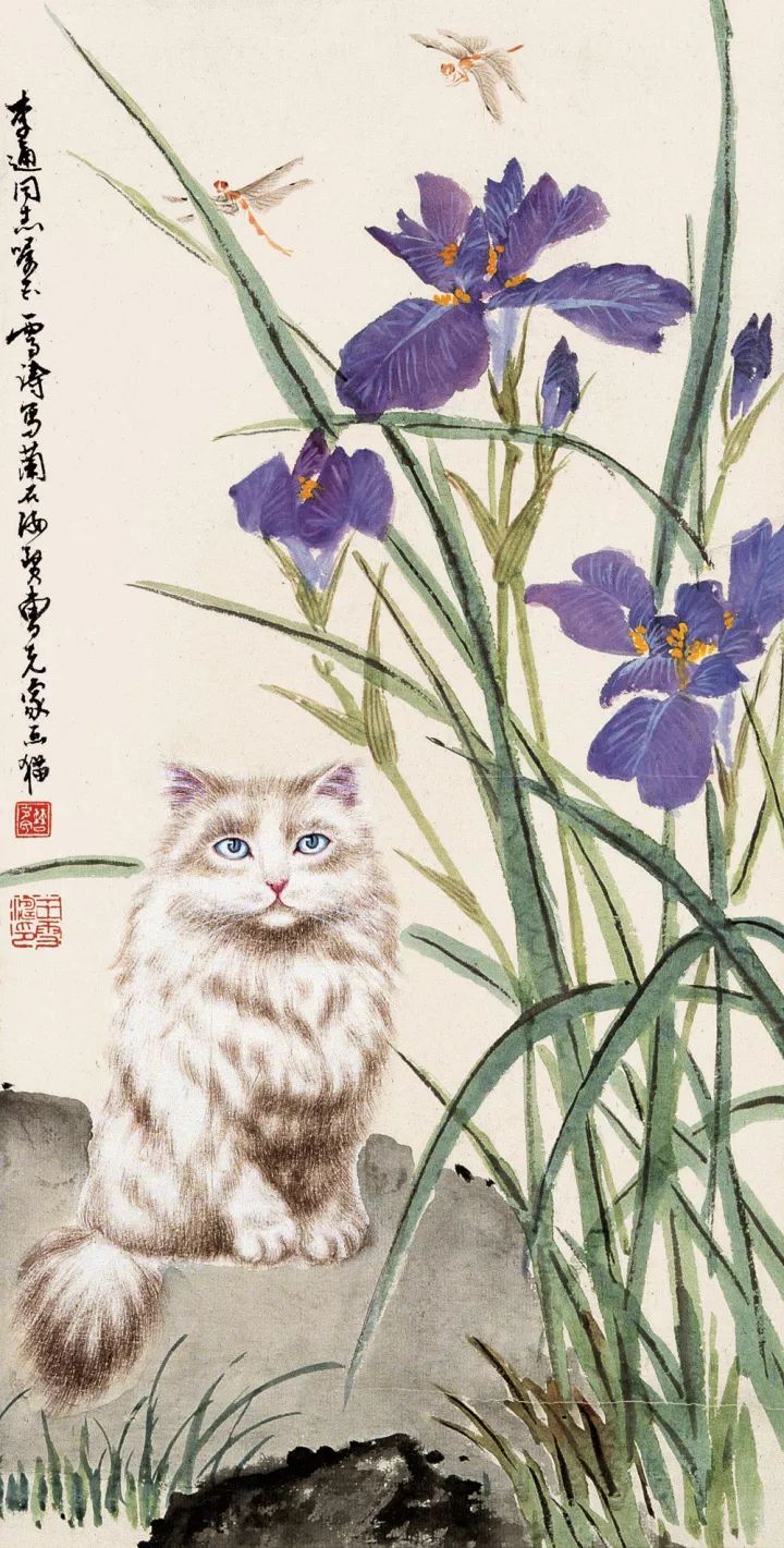 画猫一绝｜他笔下的猫们活泼精灵、人见人爱 名人名家 第37张