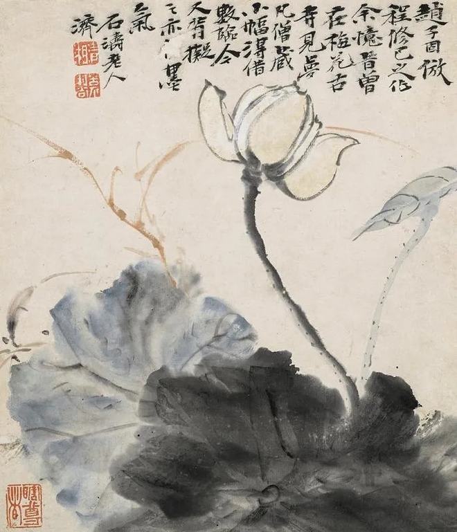 鉴赏 石涛画荷，尽显精神 名人名家 第10张