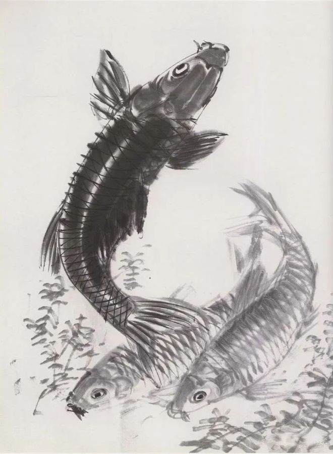 黄胄画鱼,寥寥几笔,墨韵淋漓! 名人名家 第8张-墨韵书香 黄胄画鱼,寥寥几笔,墨韵淋漓! 名人名家 第8张
