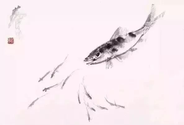 黄胄画鱼,寥寥几笔,墨韵淋漓! 名人名家 第16张-墨韵书香 黄胄画鱼,寥寥几笔,墨韵淋漓! 名人名家 第16张