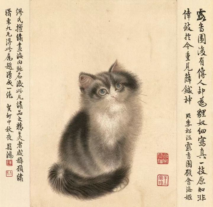 画猫一绝｜他笔下的猫们活泼精灵、人见人爱 名人名家 第35张
