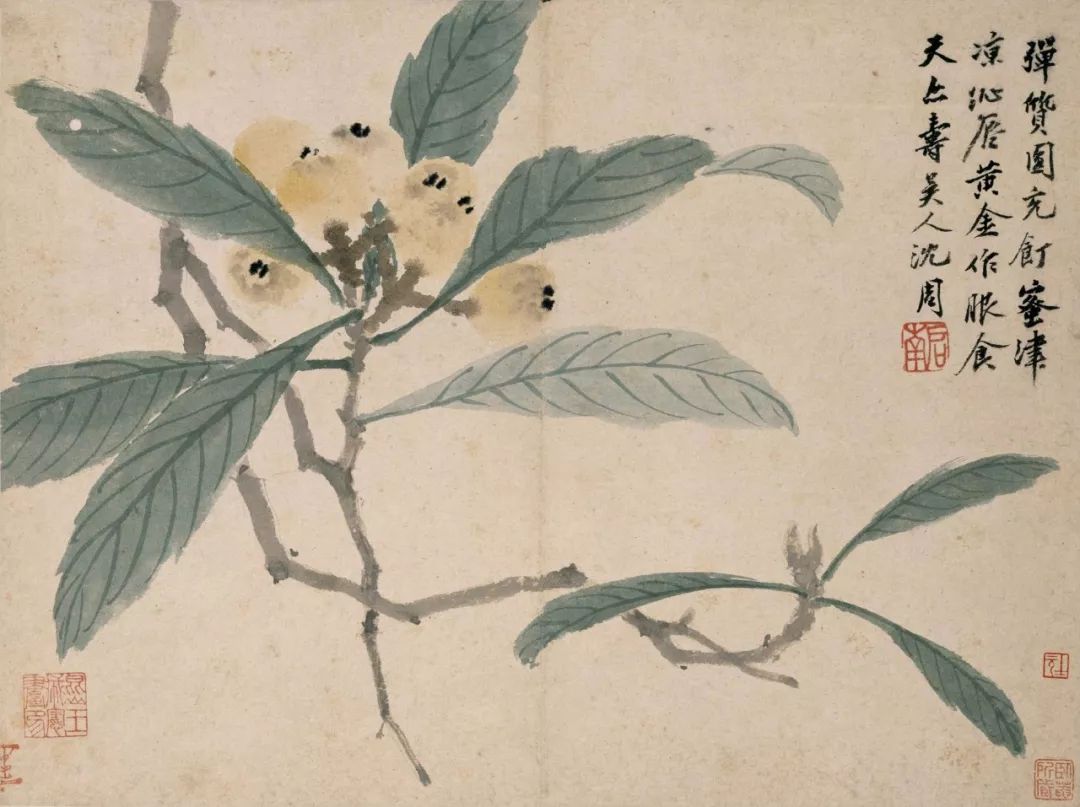 沈周：“好脾气”背后的人生哲学 名人名家 第5张