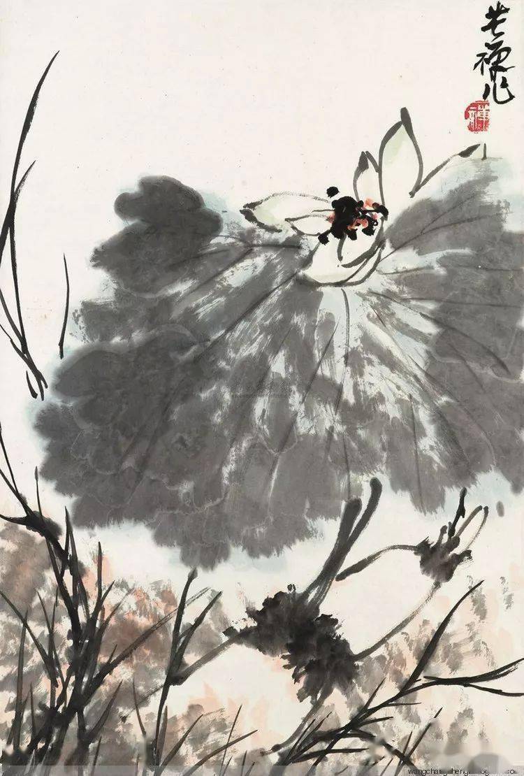 李苦禅画荷 名人名家 第25张