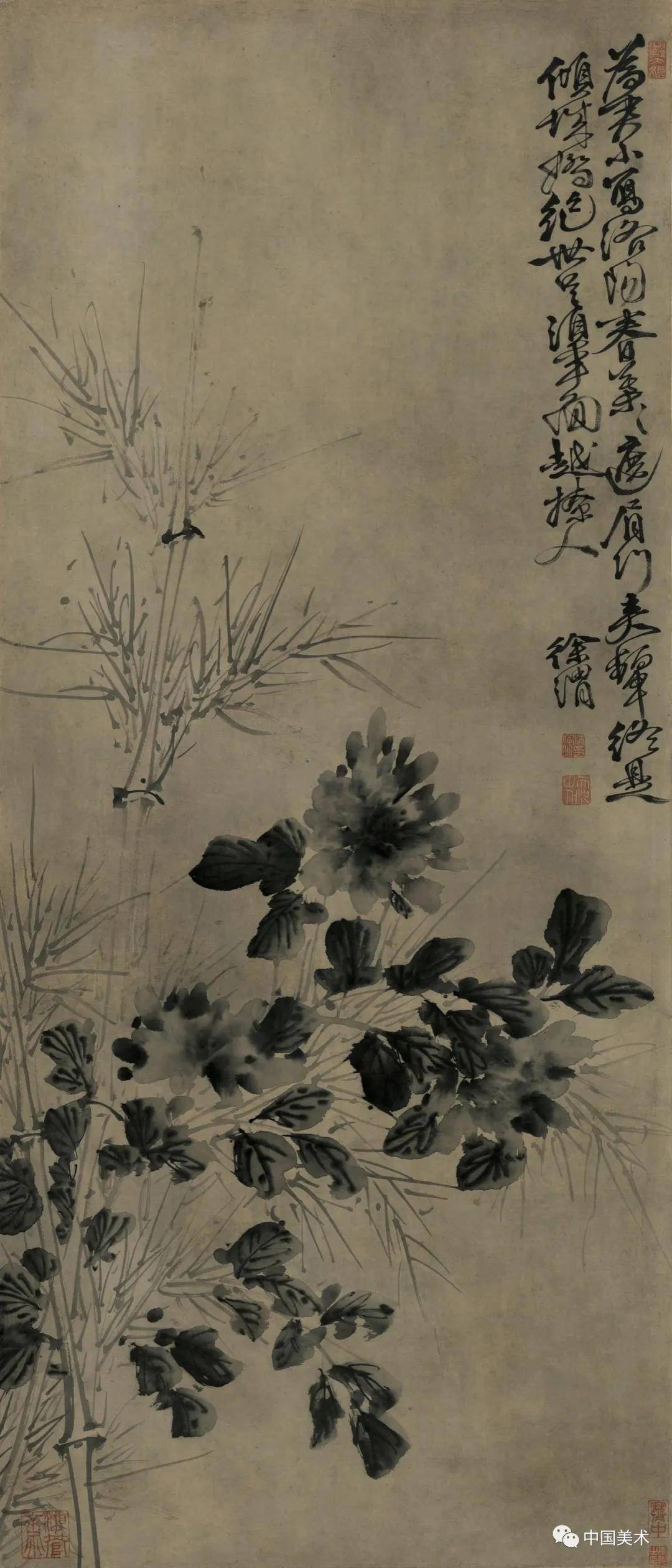 徐渭：墨色淋漓雨拨开 名人名家 第18张
