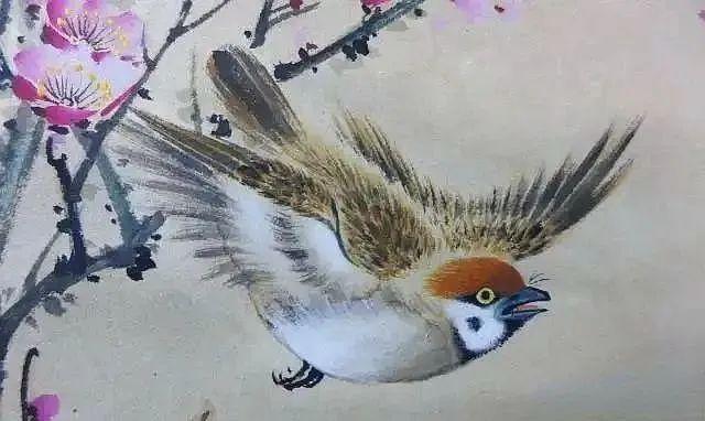 颜伯龙画笔下的麻雀 名人名家 第18张