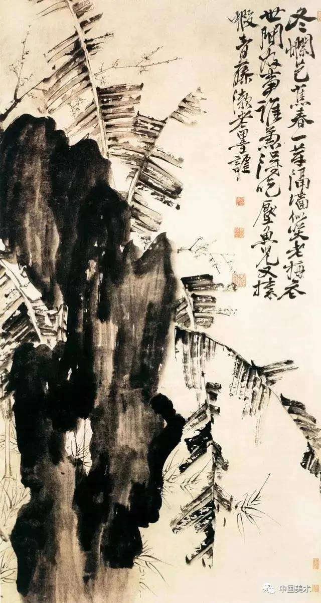 徐渭：墨色淋漓雨拨开 名人名家 第14张