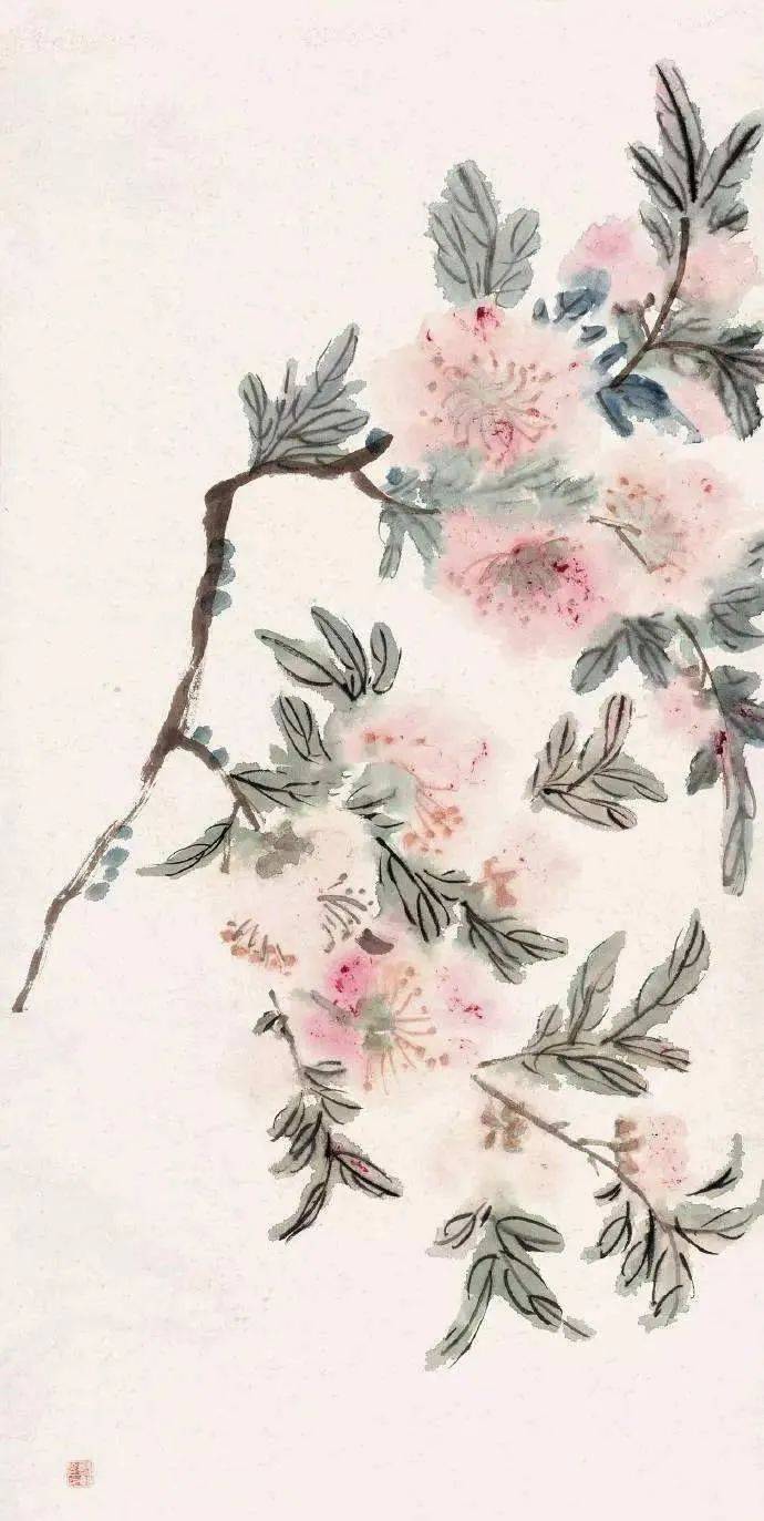 潘天寿：黄宾虹花鸟，有水流花放之妙 名人名家 第4张