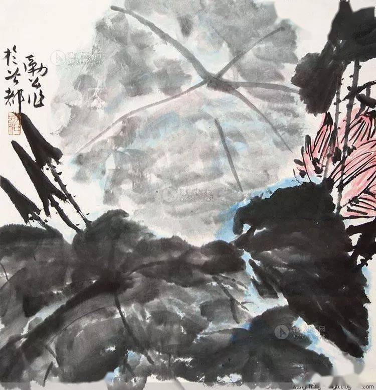 李苦禅画荷 名人名家 第32张