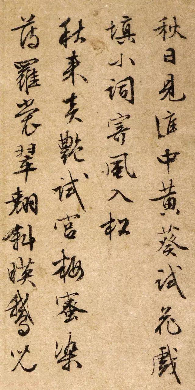 文徵明的“秋葵”，诗书画三绝 名人名家 第3张