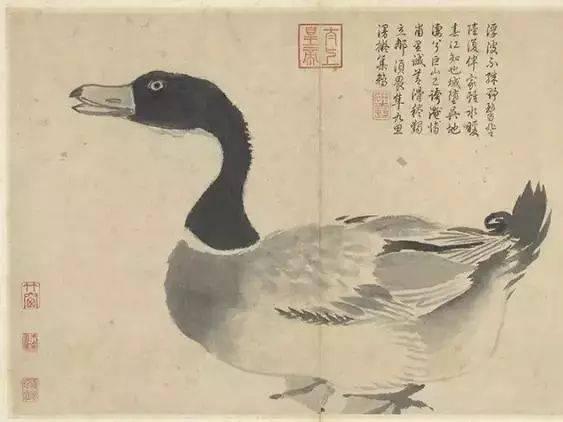 沈周：天地一痴仙 名人名家 第17张