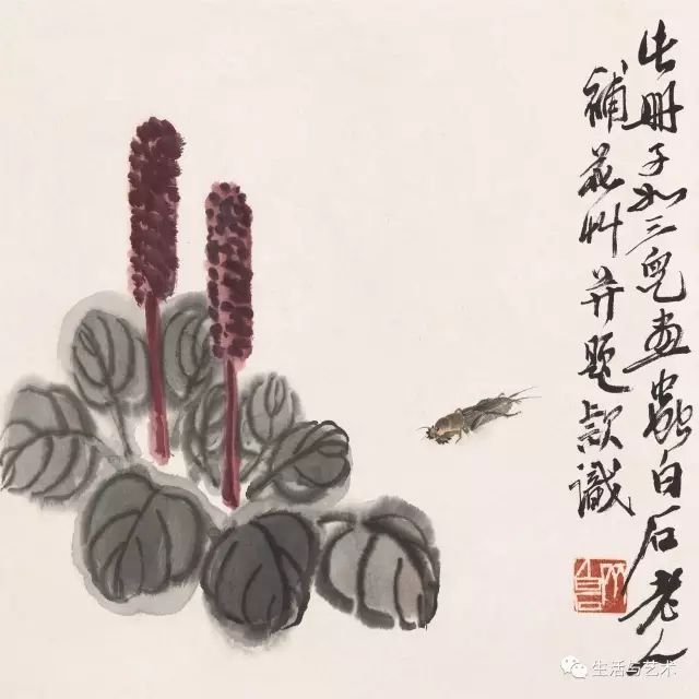 齐白石:生活何等有趣,才能画出如此好画? 名人名家 第13张-墨韵书香 齐白石:生活何等有趣,才能画出如此好画? 名人名家 第13张