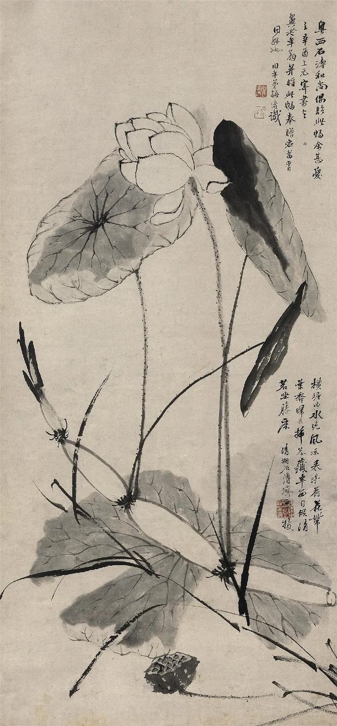 鉴赏 石涛画荷，尽显精神 名人名家 第11张