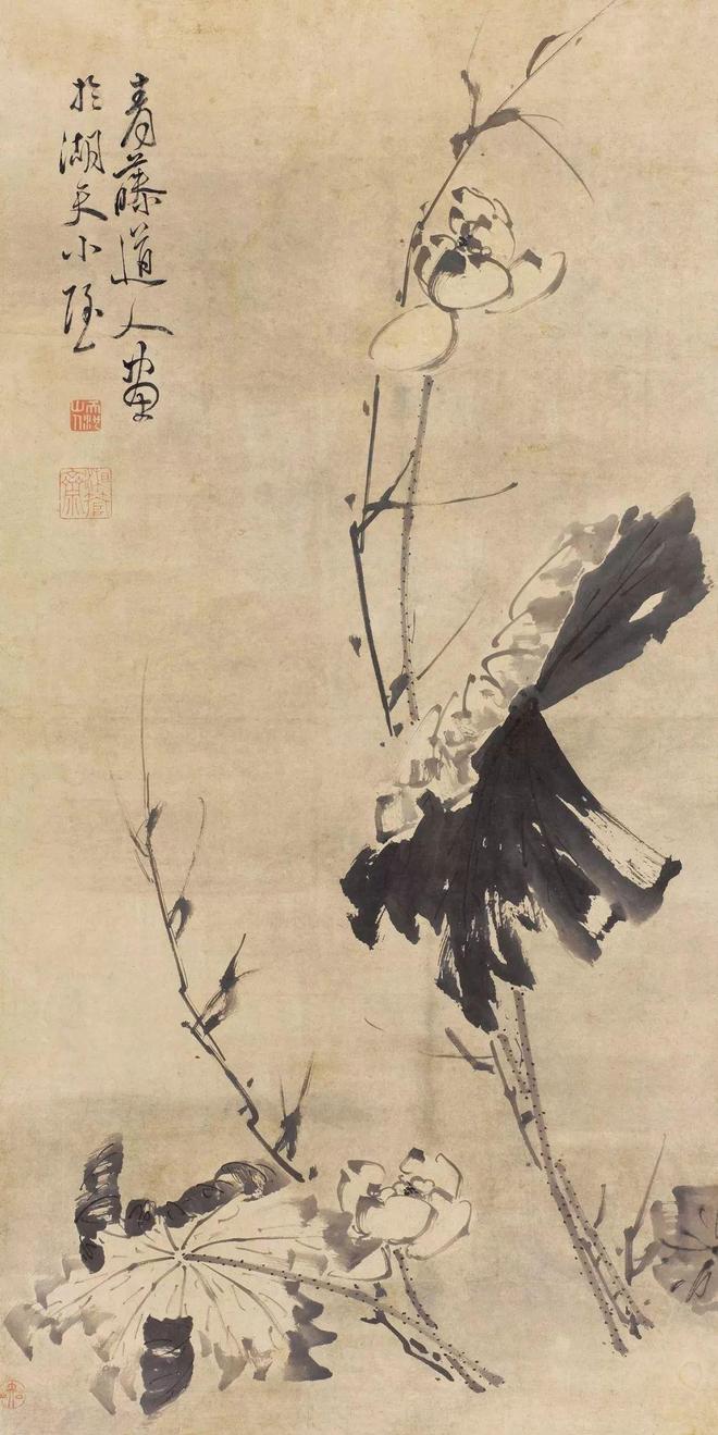 徐渭墨荷，是一道旷世风景 名人名家 第3张