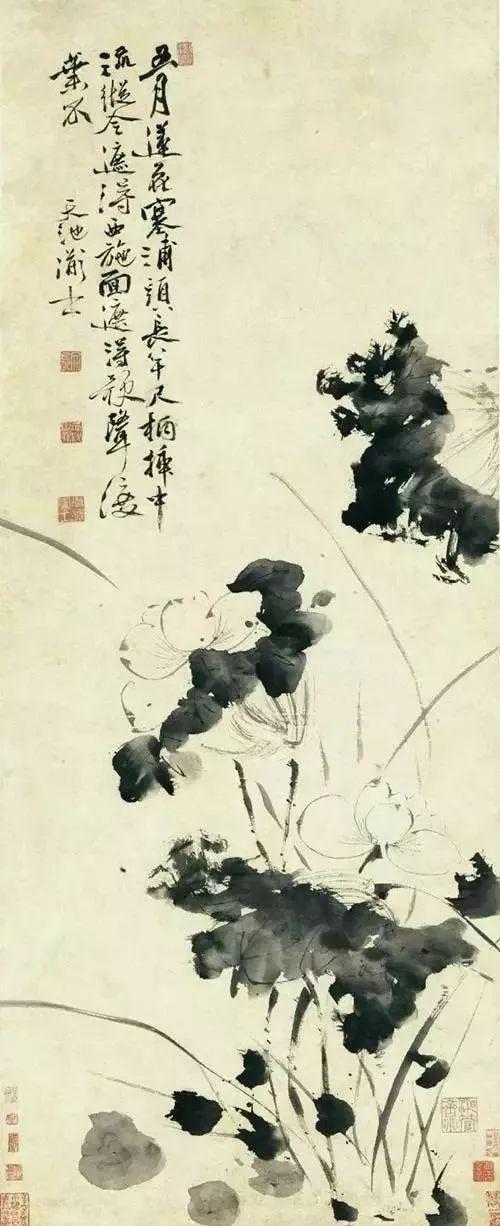 徐渭墨荷，是一道旷世风景 名人名家 第4张