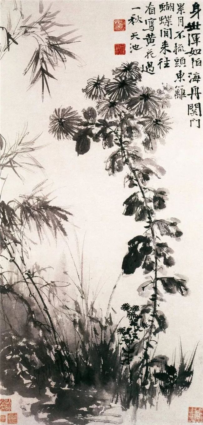 徐渭：艺术创作要有真面目，才可为高手 名人名家 第12张