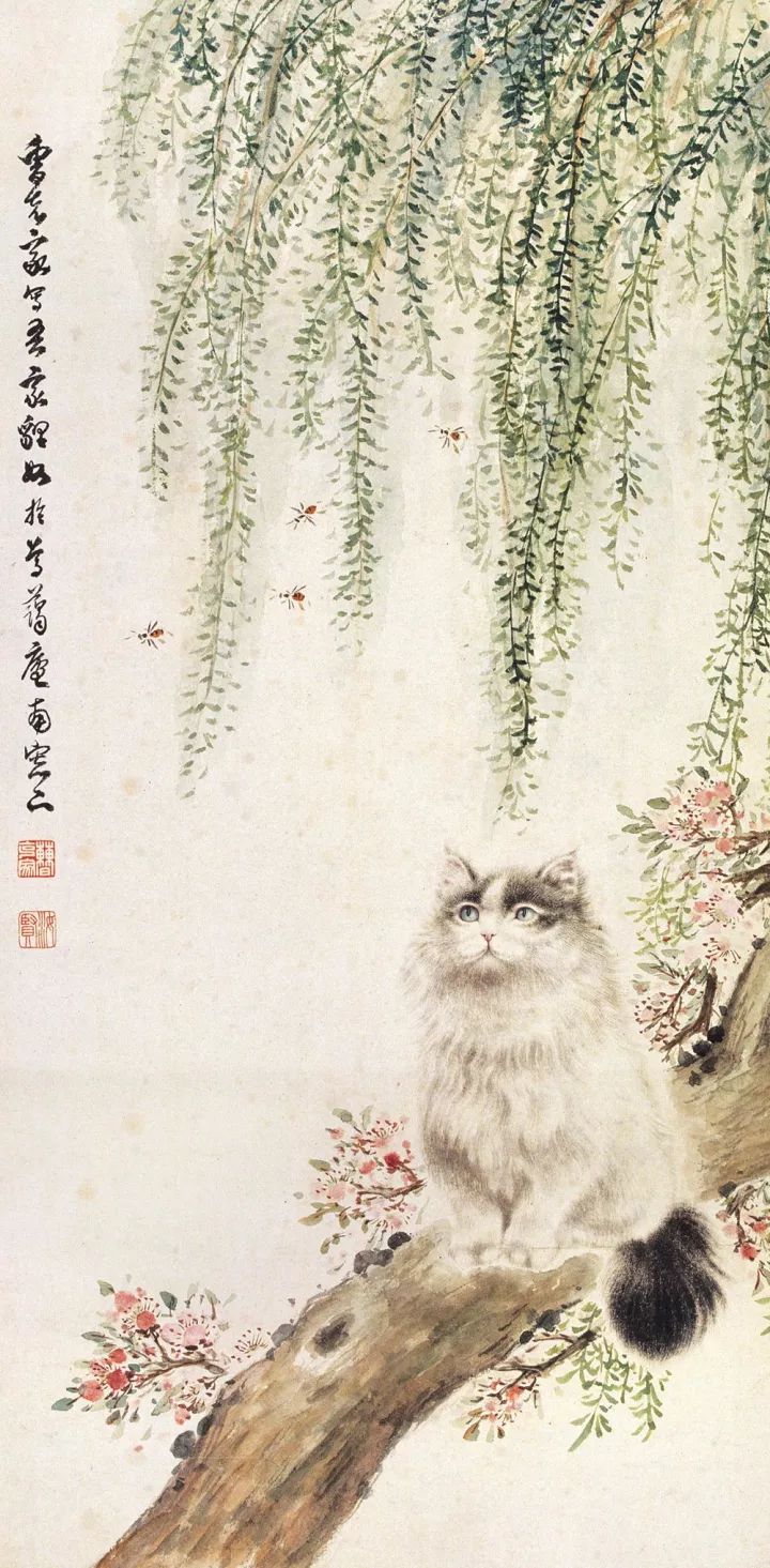 画猫一绝｜他笔下的猫们活泼精灵、人见人爱 名人名家 第53张