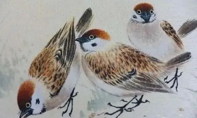 颜伯龙画笔下的麻雀 名人名家 第1张