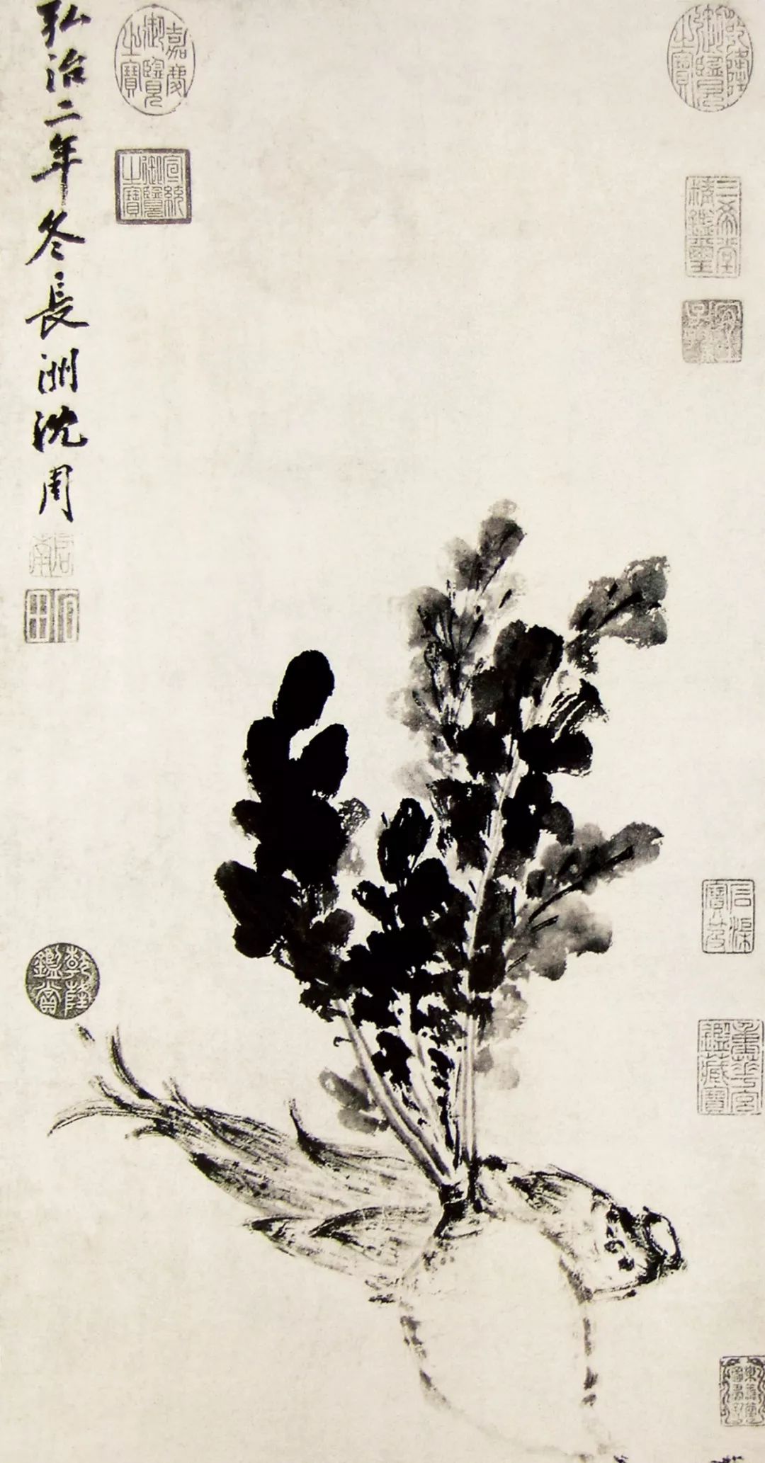 沈周：“好脾气”背后的人生哲学 名人名家 第2张