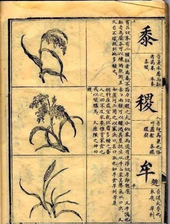 书法奇才——唐驼 名人名家 第2张
