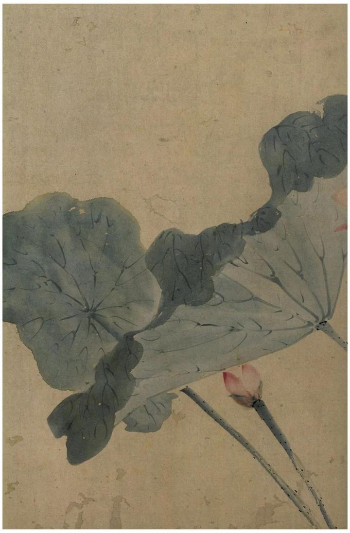 陈道复：妙笔丹青，花鸟传情 名人名家 第16张