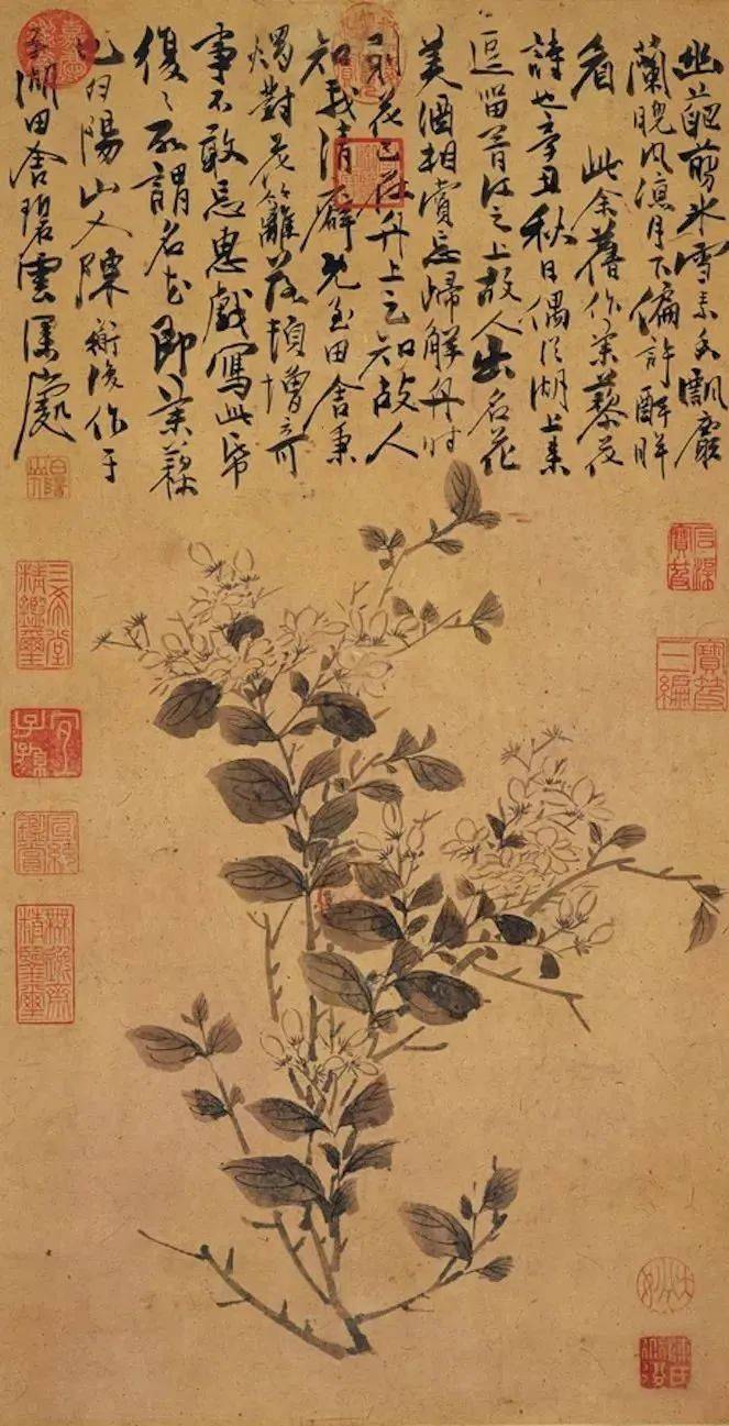 陈淳：一杆画笔，撑开明代大写意之门 名人名家 第30张