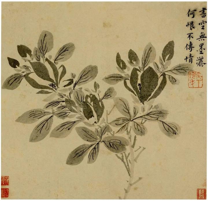 陈道复：妙笔丹青，花鸟传情 名人名家 第8张