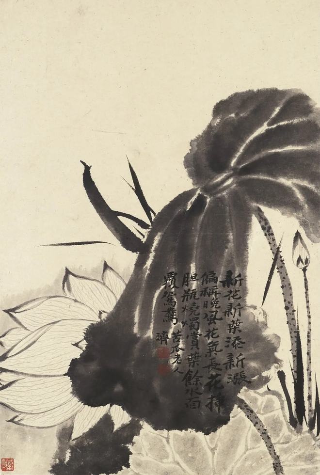 鉴赏 石涛画荷，尽显精神 名人名家 第3张