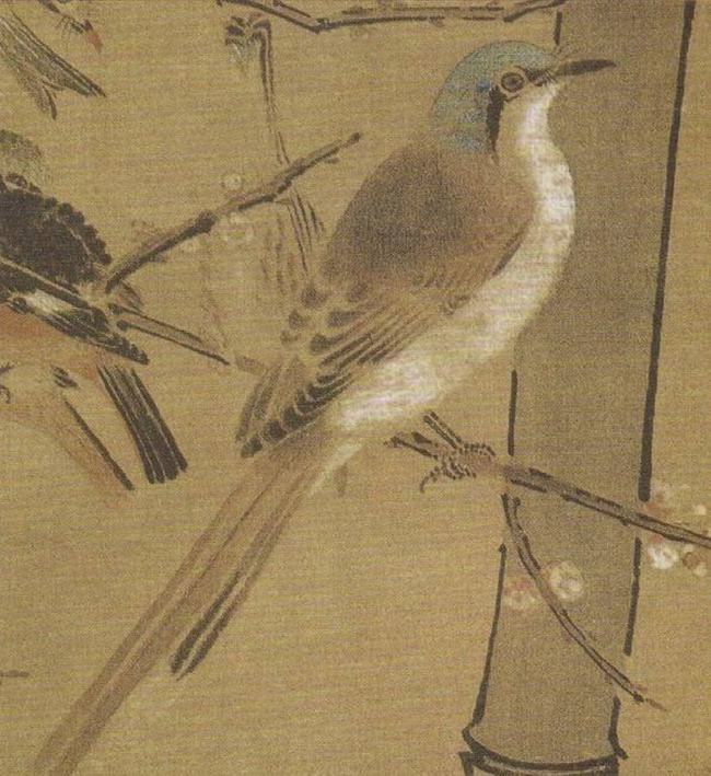 宫廷花鸟画鼻祖—边景昭 名人名家 第3张