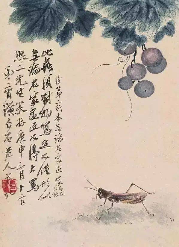 齐白石笔下的白菜、丝瓜、葡萄、石榴、荔枝、柿子，哪样最出彩！ 名人名家 第8张