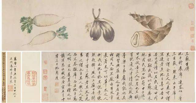 沈周：天地一痴仙 名人名家 第3张