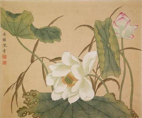 陈书：清代第一女画家 名人名家 第15张