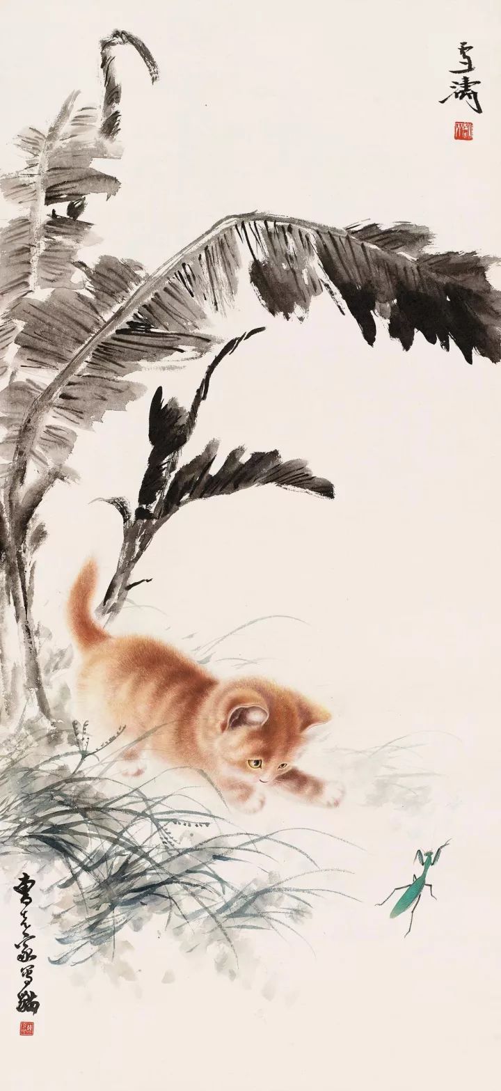 画猫一绝｜他笔下的猫们活泼精灵、人见人爱 名人名家 第49张
