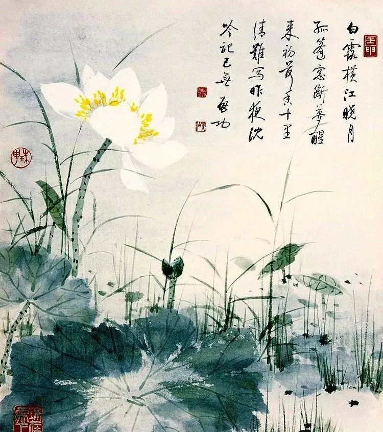 启功画荷花，清丽隽永，简洁素雅 名人名家 第1张