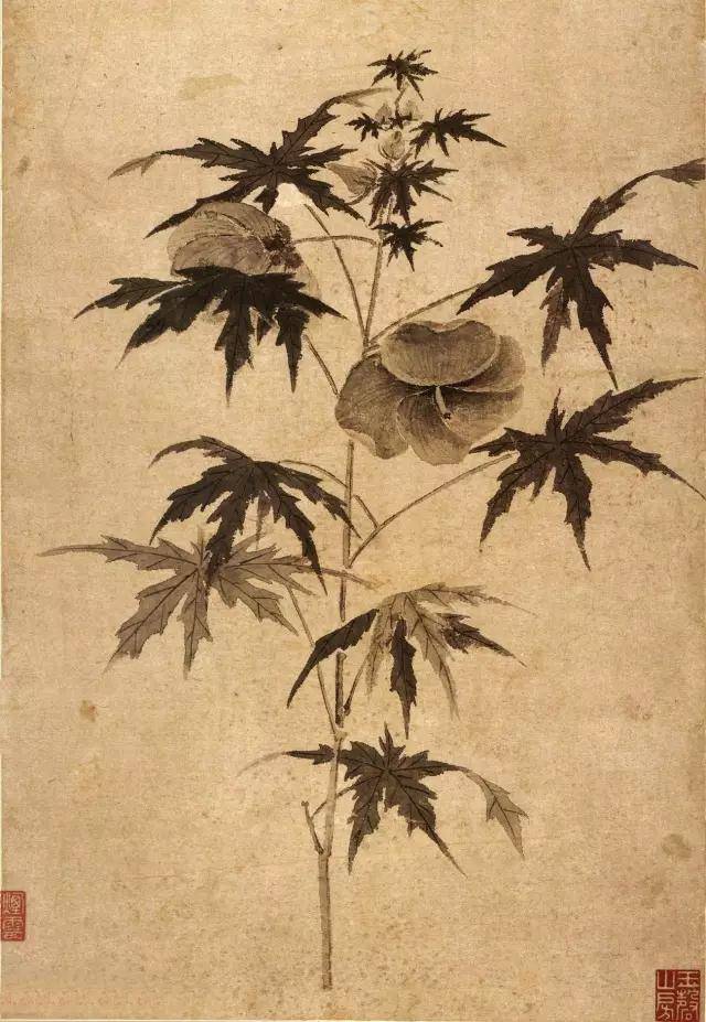 文徵明的“秋葵”，诗书画三绝 名人名家 第6张