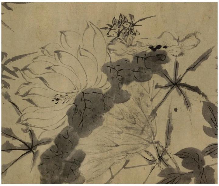 陈道复：妙笔丹青，花鸟传情 名人名家 第17张