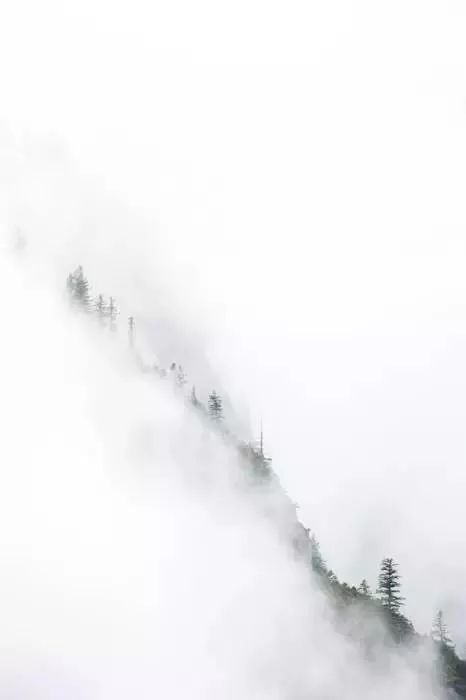 留白，中国意境的极致之美！ 书画知识 第6张