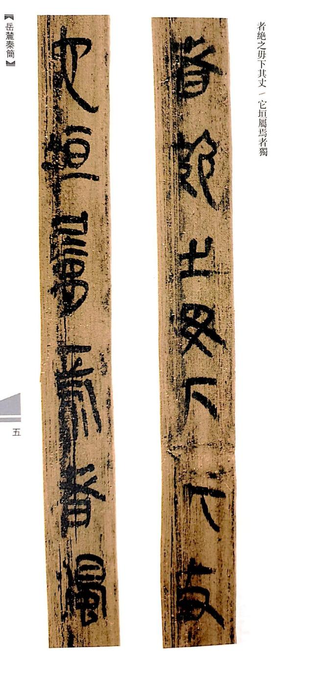 简牍书法，汉字艺术之大美 书画知识 第4张