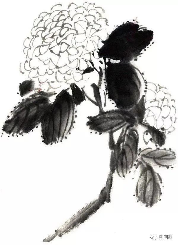 国画水墨绣球花画法 书画知识 第3张
