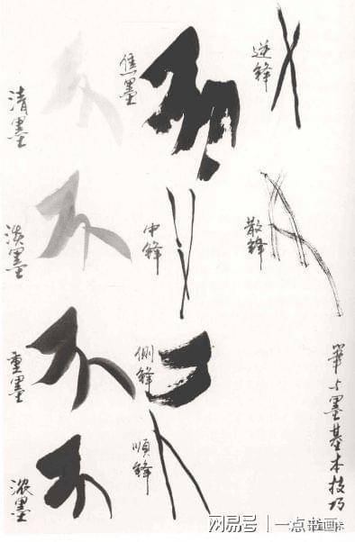 写意花鸟笔墨的节奏、韵味和美感 书画知识 第1张