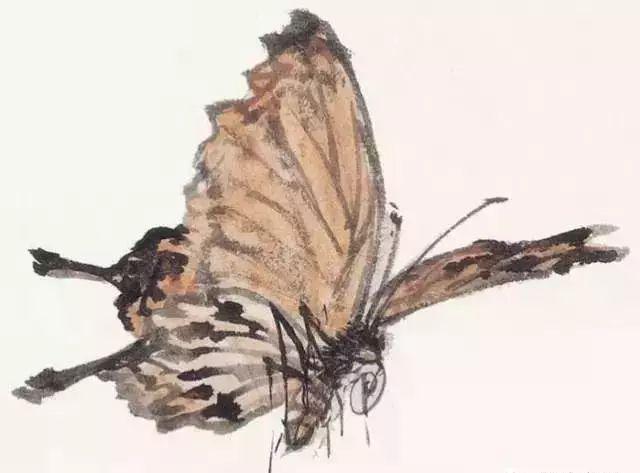 写意鱼虫画法，易学易懂 书画知识 第20张