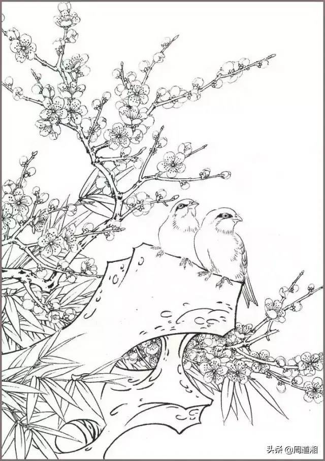 花鸟构图有讲究,看看梅花配石头 书画知识 第2张-墨韵书香 花鸟构图有讲究,看看梅花配石头 书画知识 第2张