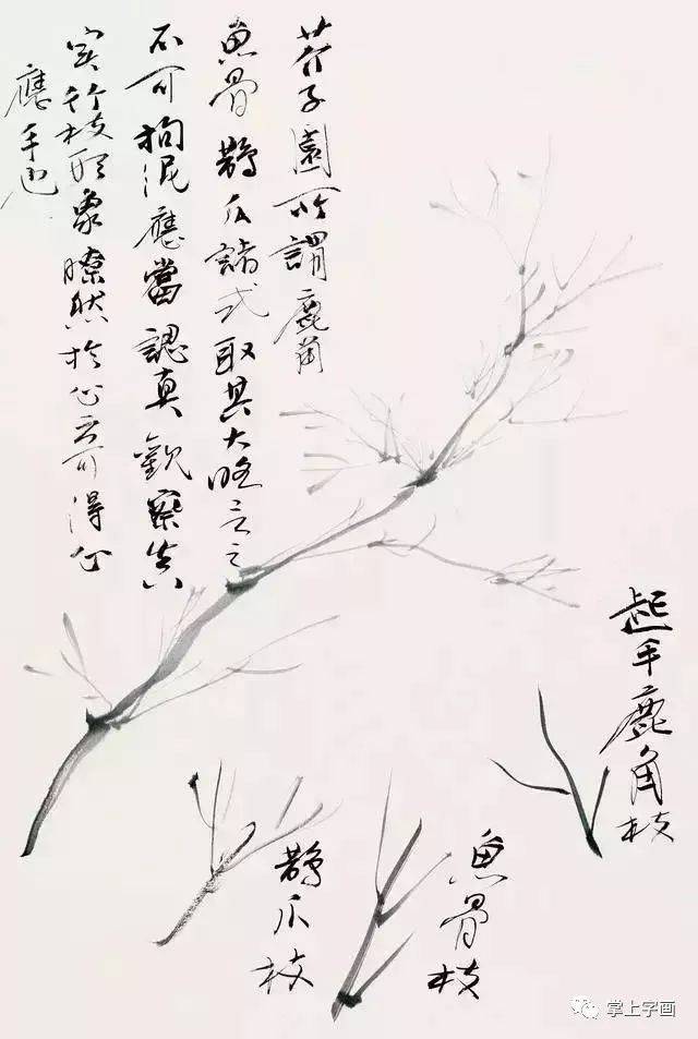 画竹还需掌握好这三点！ 书画知识 第10张